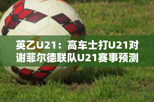 英乙U21：高车士打U21对谢菲尔德联队U21赛事预测