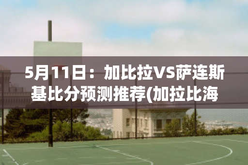 5月11日：加比拉VS萨连斯基比分预测推荐(加拉比海)