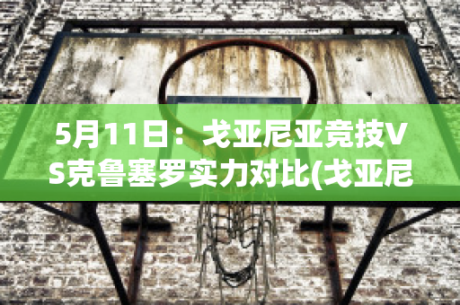 5月11日：戈亚尼亚竞技VS克鲁塞罗实力对比(戈亚尼亚竞技vs戈亚斯)