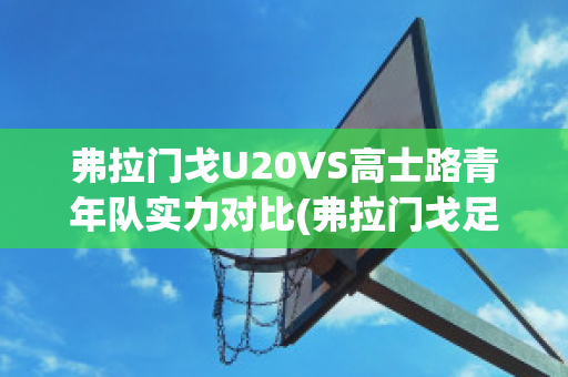 弗拉门戈U20VS高士路青年队实力对比(弗拉门戈足球俱乐部)