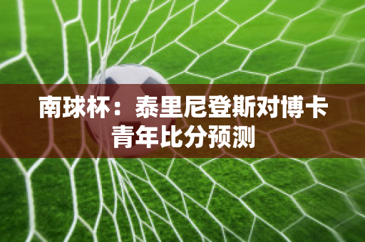 南球杯：泰里尼登斯对博卡青年比分预测