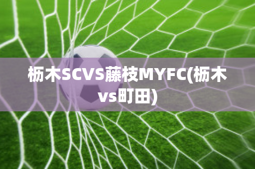 枥木SCVS藤枝MYFC(枥木vs町田)