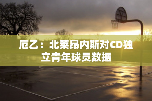 厄乙：北莱昂内斯对CD独立青年球员数据