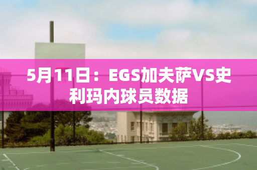 5月11日：EGS加夫萨VS史利玛内球员数据