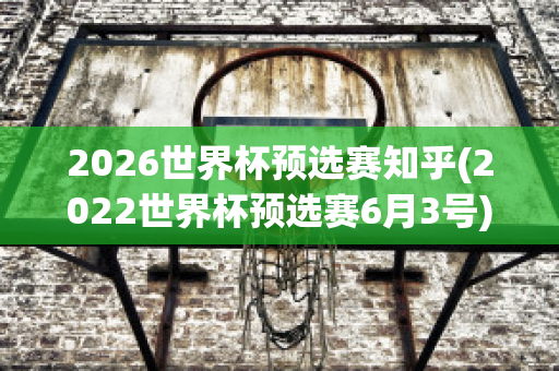 2026世界杯预选赛知乎(2022世界杯预选赛6月3号)