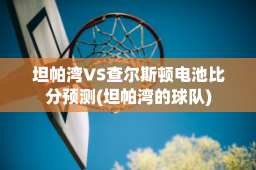 坦帕湾VS查尔斯顿电池比分预测(坦帕湾的球队)