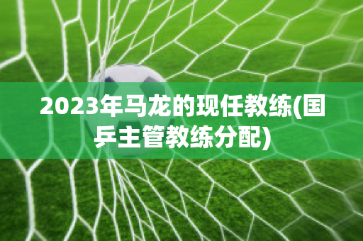 2023年马龙的现任教练(国乒主管教练分配)