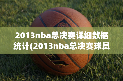 2013nba总决赛详细数据统计(2013nba总决赛球员数据统计)