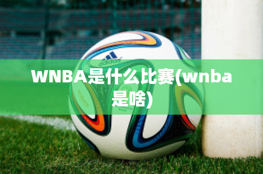 WNBA是什么比赛(wnba是啥)