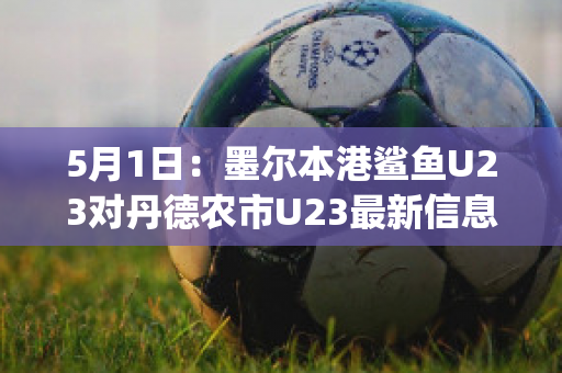 5月1日：墨尔本港鲨鱼U23对丹德农市U23最新信息(墨尔本港鲨鱼对休姆)