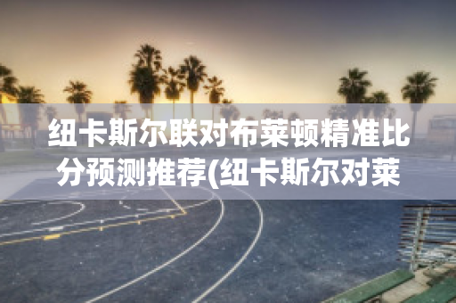 纽卡斯尔联对布莱顿精准比分预测推荐(纽卡斯尔对莱斯特城的比分预测)