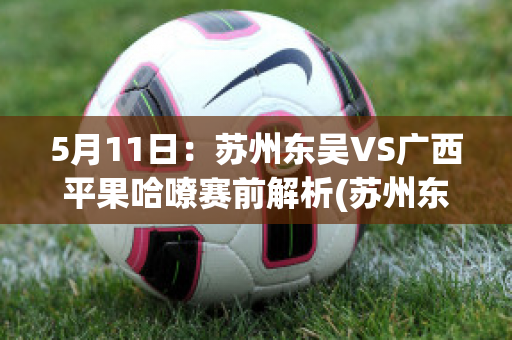 5月11日：苏州东吴VS广西平果哈嘹赛前解析(苏州东吴vs新疆比分)