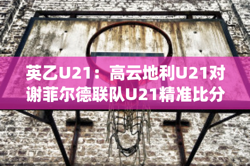 英乙U21：高云地利U21对谢菲尔德联队U21精准比分近年成绩(谢菲尔德联u23)