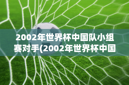 2002年世界杯中国队小组赛对手(2002年世界杯中国队小组赛对手阵容)