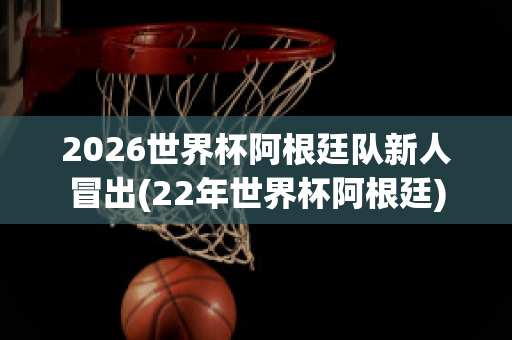 2026世界杯阿根廷队新人冒出(22年世界杯阿根廷)