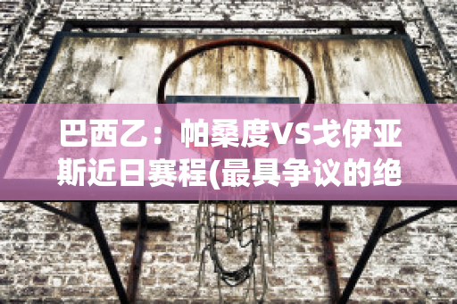 巴西乙：帕桑度VS戈伊亚斯近日赛程(最具争议的绝杀cba帕戈)