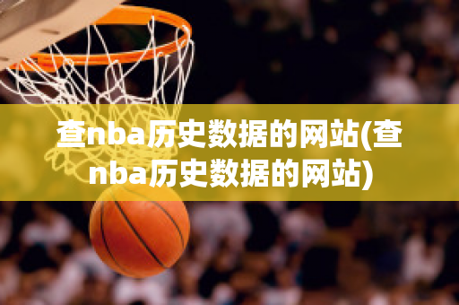 查nba历史数据的网站(查nba历史数据的网站)