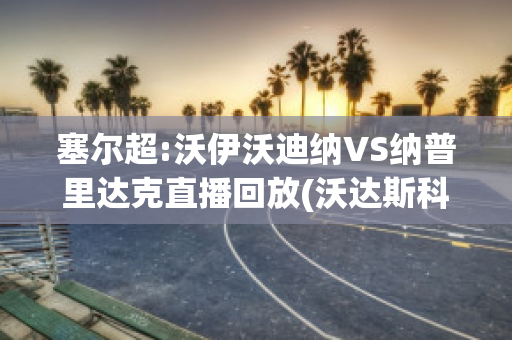 塞尔超:沃伊沃迪纳VS纳普里达克直播回放(沃达斯科vs纳达尔)