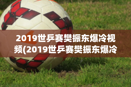 2019世乒赛樊振东爆冷视频(2019世乒赛樊振东爆冷视频)