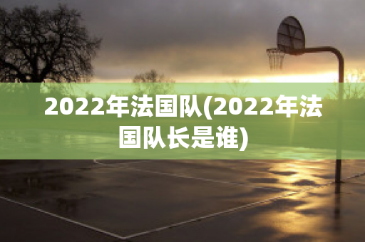 2022年法国队(2022年法国队长是谁)