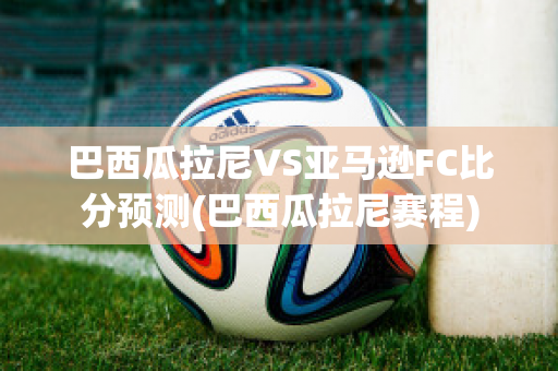 巴西瓜拉尼VS亚马逊FC比分预测(巴西瓜拉尼赛程)