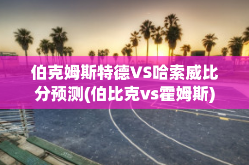 伯克姆斯特德VS哈索威比分预测(伯比克vs霍姆斯)