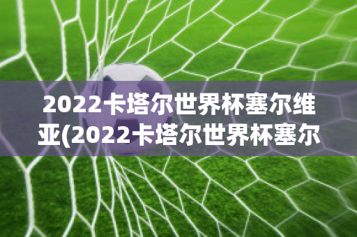 2022卡塔尔世界杯塞尔维亚(2022卡塔尔世界杯塞尔维亚战绩)