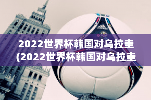 2022世界杯韩国对乌拉圭(2022世界杯韩国对乌拉圭回放)