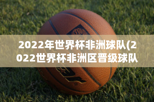 2022年世界杯非洲球队(2022世界杯非洲区晋级球队)