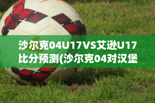 沙尔克04U17VS艾逊U17比分预测(沙尔克04对汉堡比分)