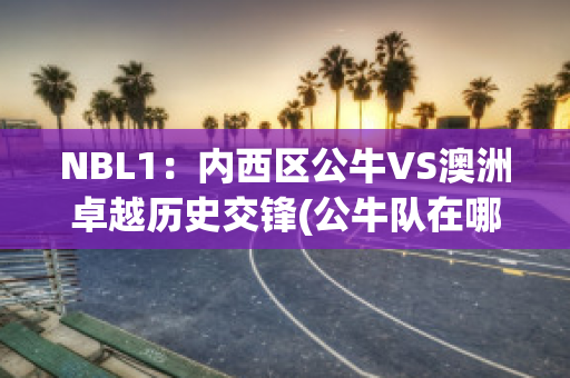 NBL1：内西区公牛VS澳洲卓越历史交锋(公牛队在哪个洲)