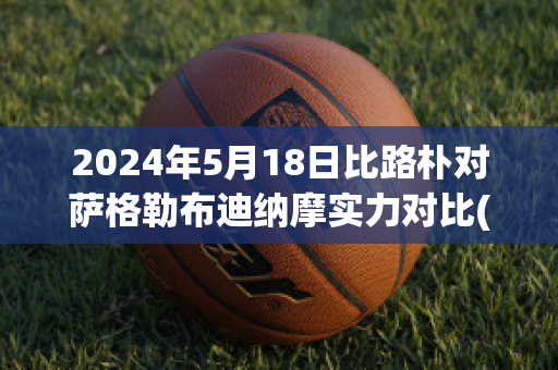 2024年5月18日比路朴对萨格勒布迪纳摩实力对比(萨格勒布迪纳摩vs比路朴)