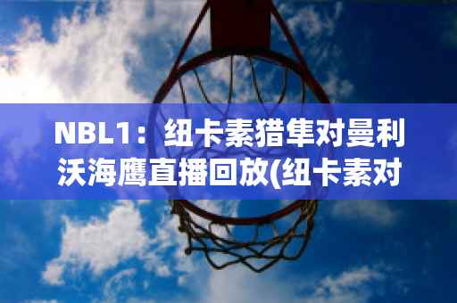 NBL1：纽卡素猎隼对曼利沃海鹰直播回放(纽卡素对曼城)