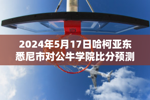 2024年5月17日哈柯亚东悉尼市对公牛学院比分预测