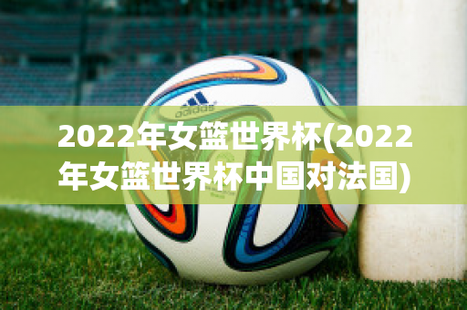 2022年女篮世界杯(2022年女篮世界杯中国对法国)