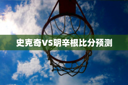 史克奇VS明辛根比分预测