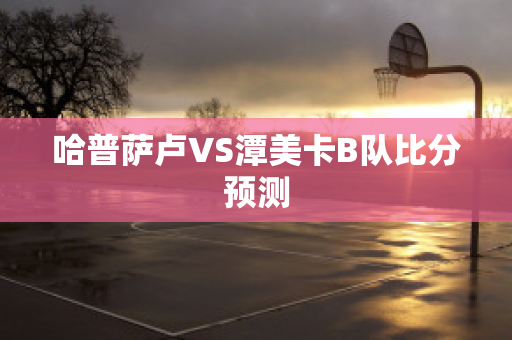 哈普萨卢VS潭美卡B队比分预测