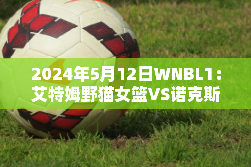 2024年5月12日WNBL1：艾特姆野猫女篮VS诺克斯袭击者女篮比分参考