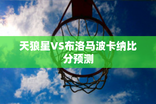 天狼星VS布洛马波卡纳比分预测