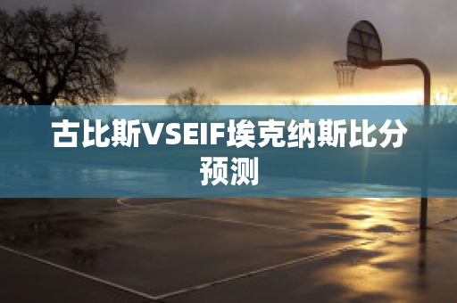 古比斯VSEIF埃克纳斯比分预测