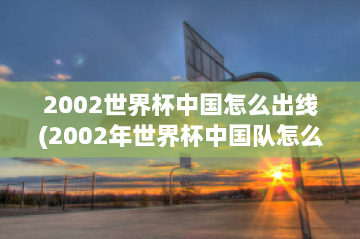 2002世界杯中国怎么出线(2002年世界杯中国队怎么进去的)