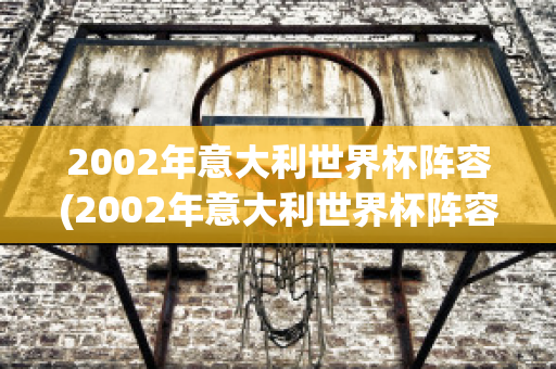 2002年意大利世界杯阵容(2002年意大利世界杯阵容西装)