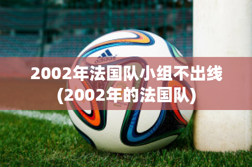 2002年法国队小组不出线(2002年的法国队)