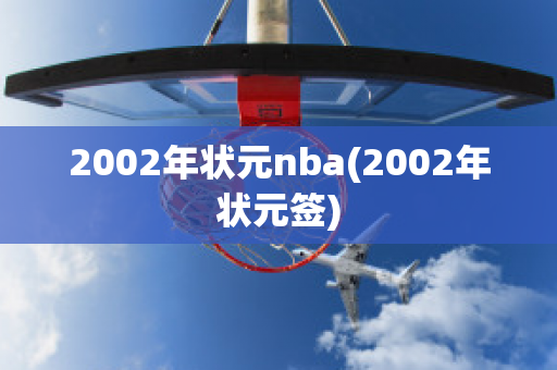 2002年状元nba(2002年状元签)