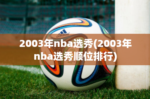 2003年nba选秀(2003年nba选秀顺位排行)