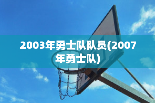 2003年勇士队队员(2007年勇士队)