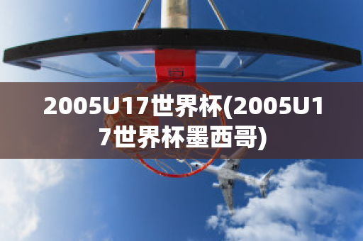 2005U17世界杯(2005U17世界杯墨西哥)