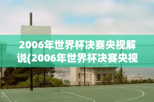 2006年世界杯决赛央视解说(2006年世界杯决赛央视解说是谁)