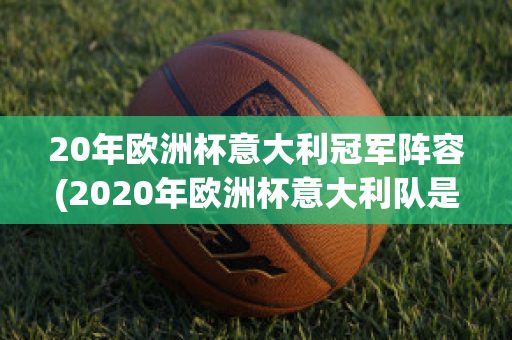 20年欧洲杯意大利冠军阵容(2020年欧洲杯意大利队是冠军吗)