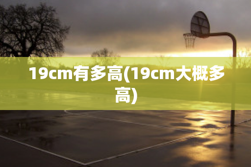 19cm有多高(19cm大概多高)